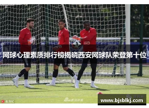 网球心理素质排行榜揭晓西安网球队荣登第十位